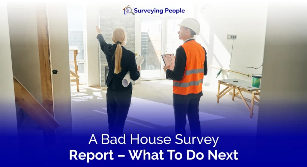 A Bad House Survey Report - What To Do Next